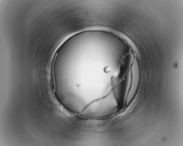 X0000099300860200805231340