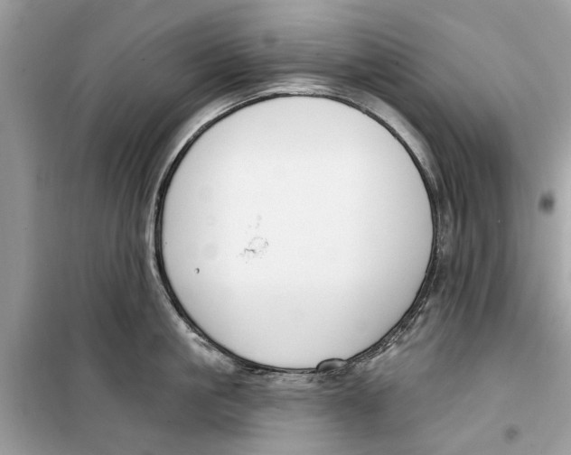 X0000099300861200805231340