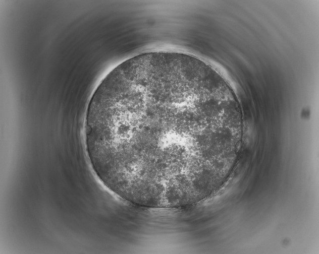 X0000099300863200805231340