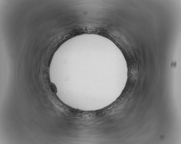 X0000099300865200805231340