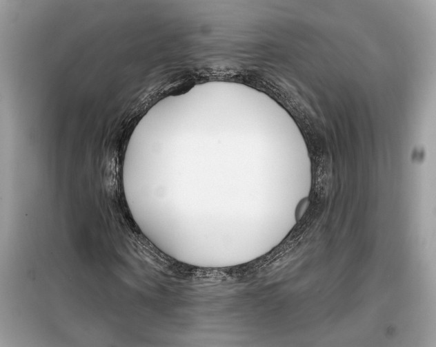 X0000099300866200805231340