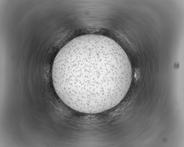 X0000099300867200805231340