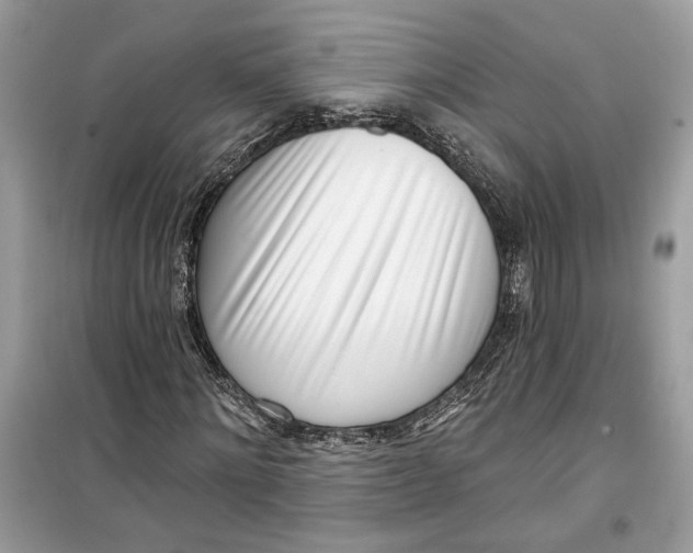 X0000099300868200805231340