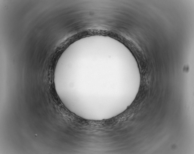 X0000099300870200805231339