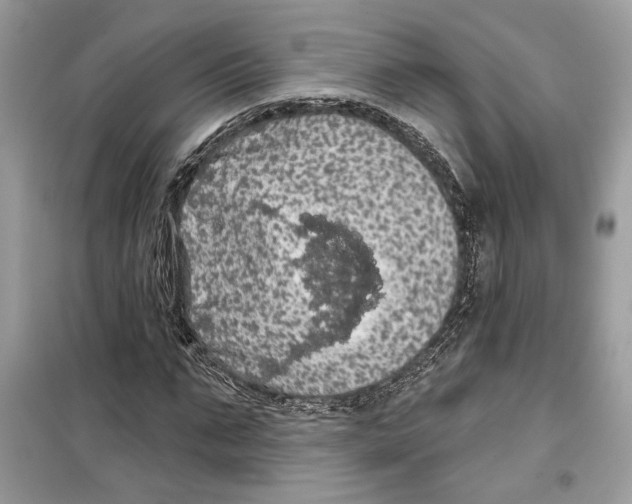 X0000099300871200805231339