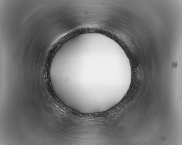 X0000099300872200805231339