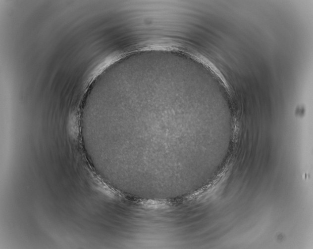 X0000099300874200805231339