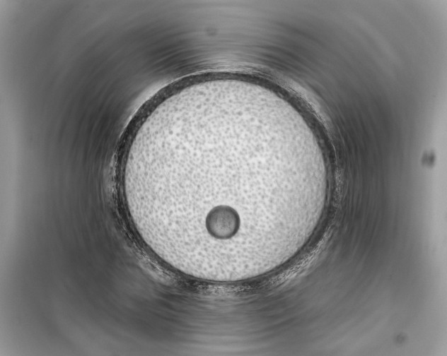 X0000099300875200805231339