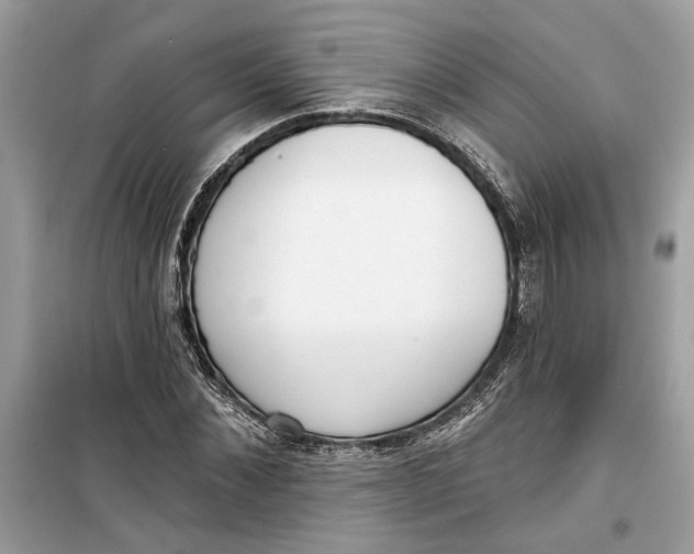 X0000099300876200805231339