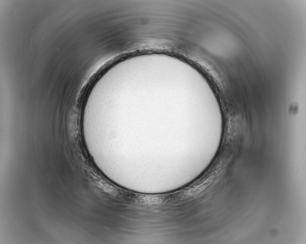 X0000099300878200805231339