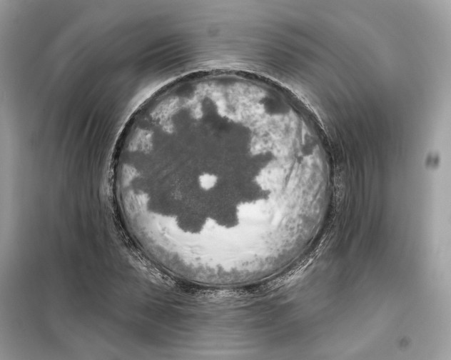 X0000099300879200805231339