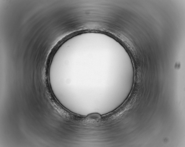 X0000099300880200805231339