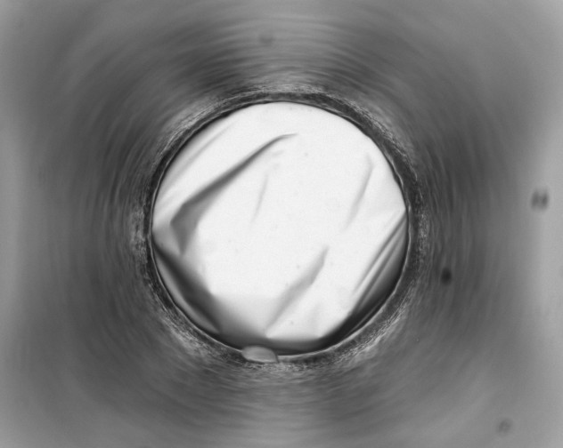 X0000099300881200805231339