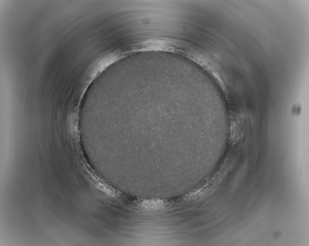 X0000099300882200805231339