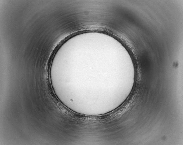 X0000099300883200805231339