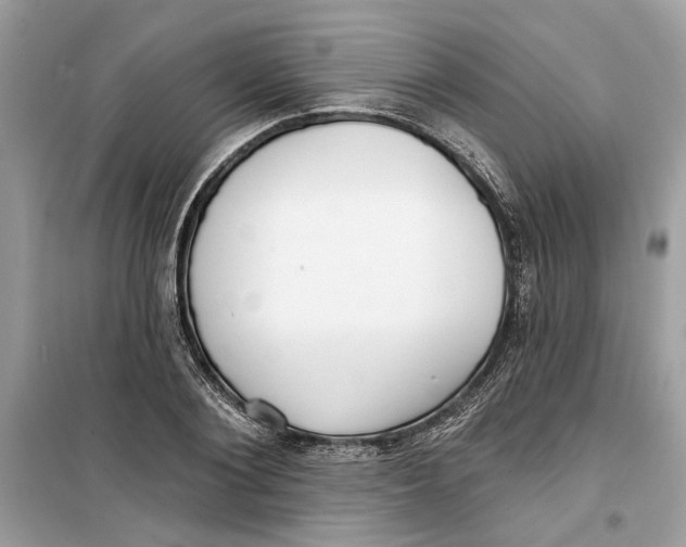 X0000099300884200805231339