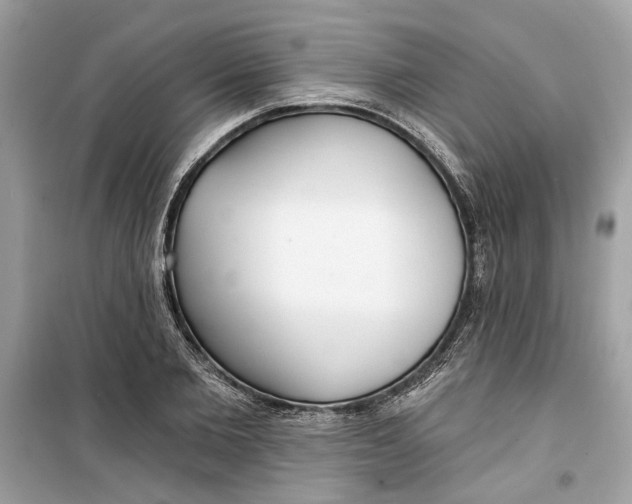 X0000099300885200805231339