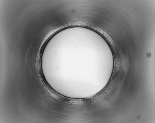 X0000099300886200805231339