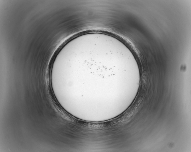 X0000099300887200805231339