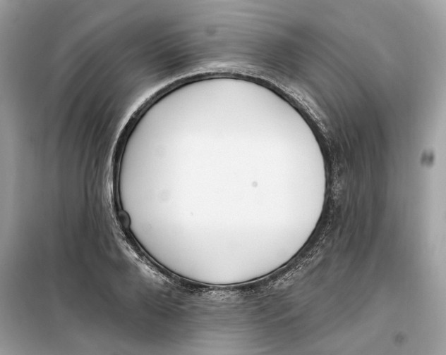 X0000099300888200805231339