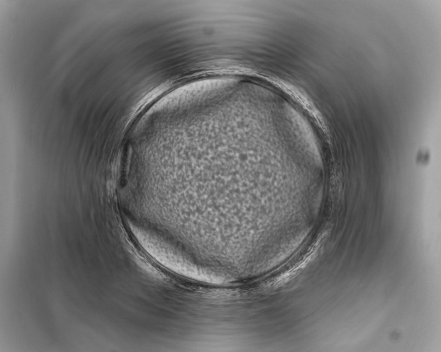 X0000099300889200805231339