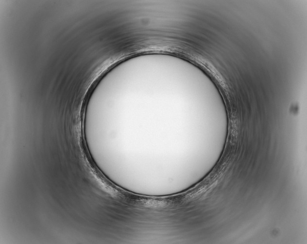 X0000099300890200805231339