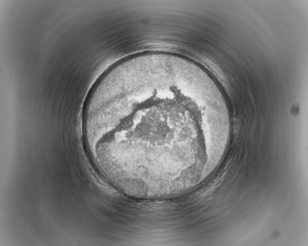 X0000099300891200805231339