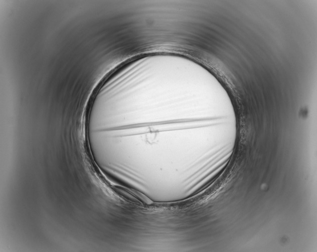 X0000099300892200805231339