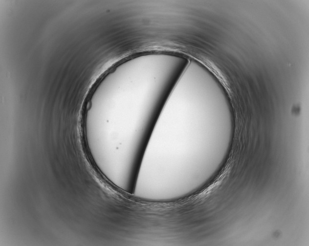 X0000099300893200805231339