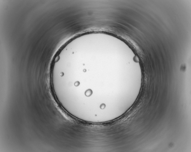 X0000099300894200805231339