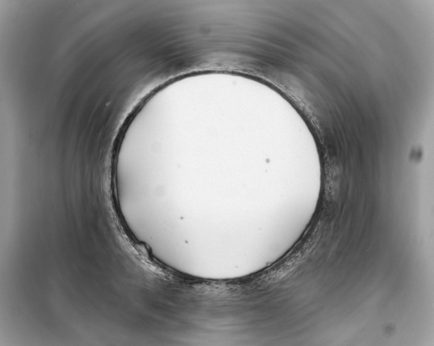 X0000099300896200805231339