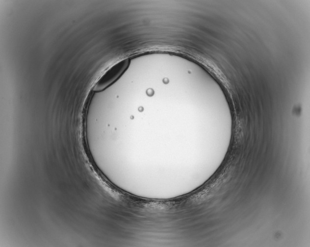 X0000099300898200805231339