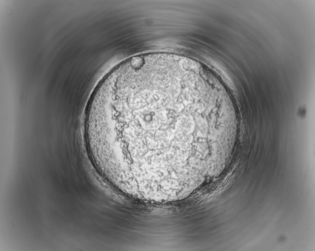 X0000099300899200805231339