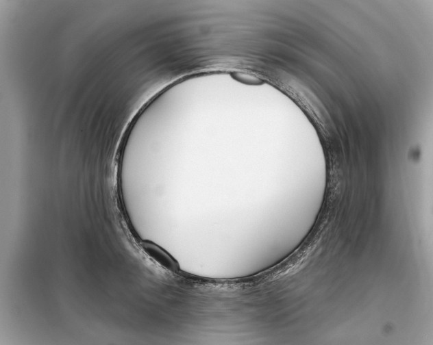 X0000099300900200805231339