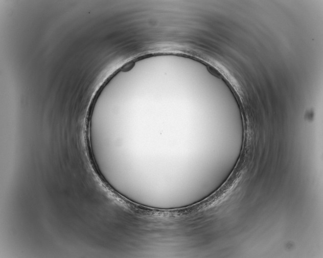 X0000099300901200805231339