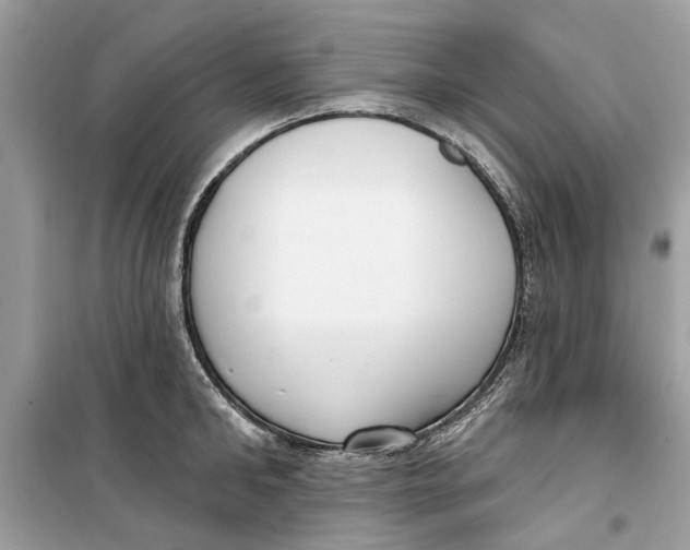 X0000099300902200805231339