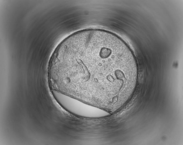 X0000099300903200805231339