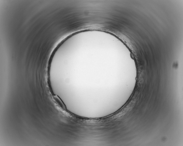 X0000099300904200805231339