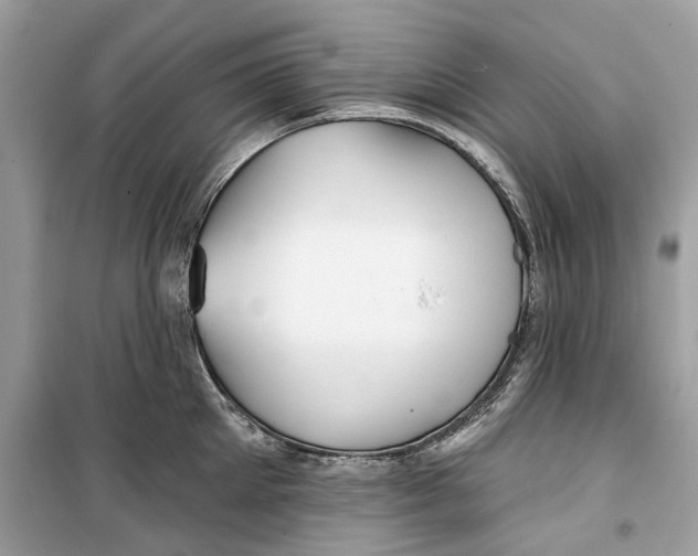 X0000099300905200805231339