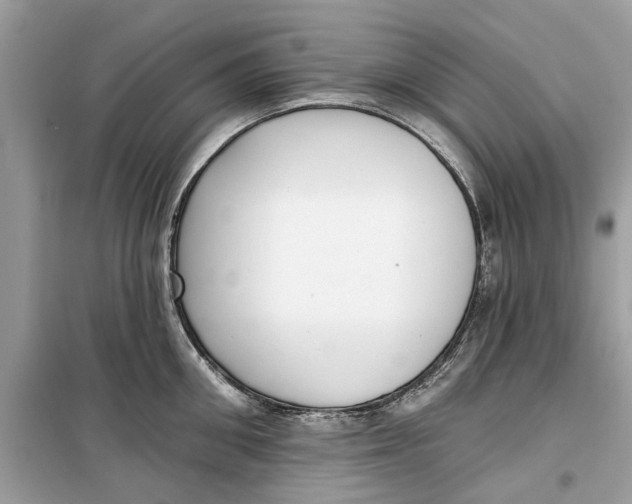 X0000099300906200805231339