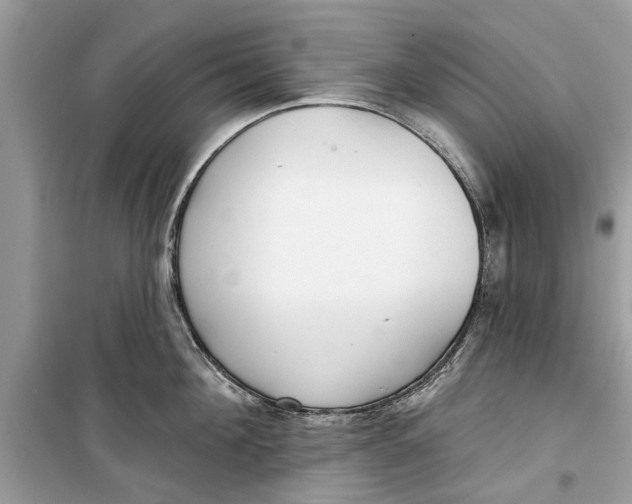 X0000099300908200805231339