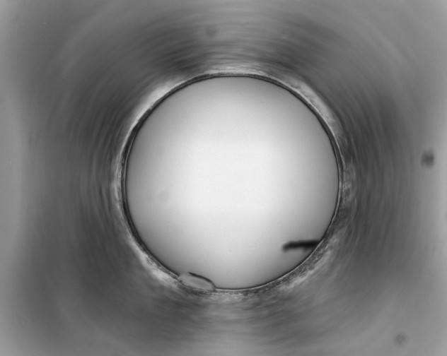 X0000099300909200805231339