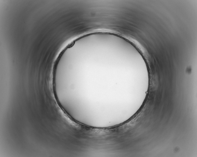 X0000099300910200805231339