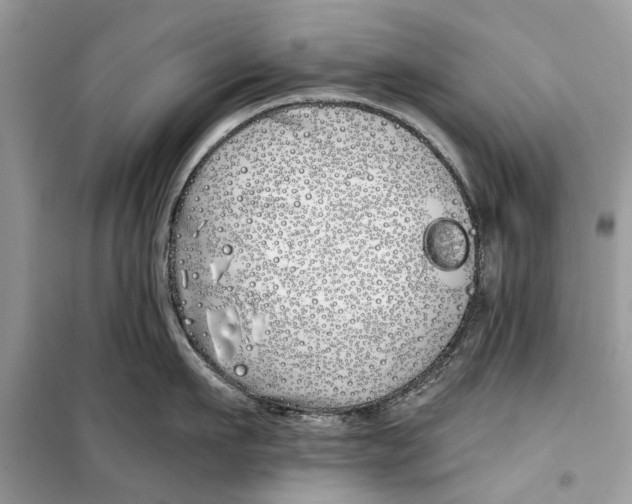 X0000099300911200805231339