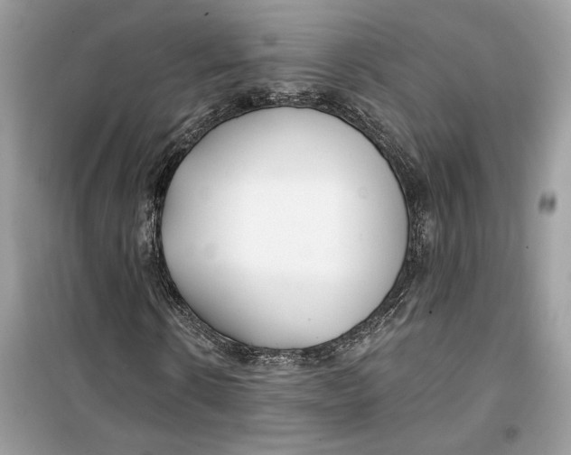 X0000099300914200805231338