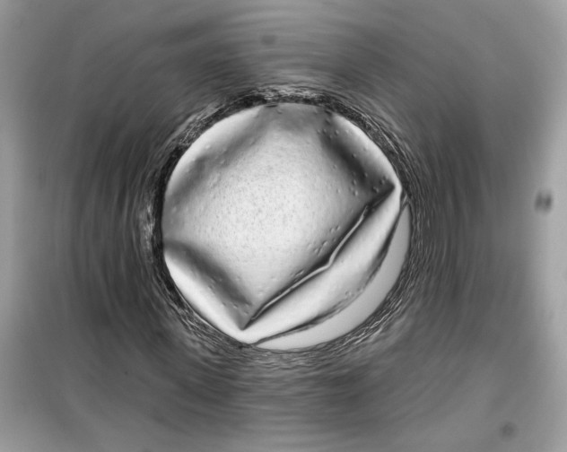 X0000099300915200805231338