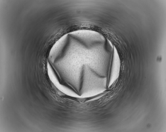 X0000099300916200805231338