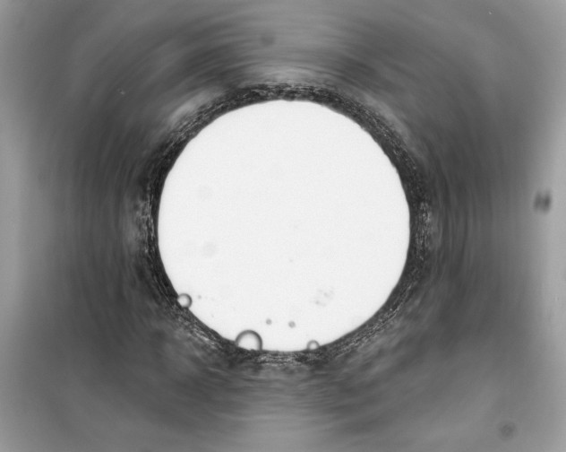 X0000099300918200805231338