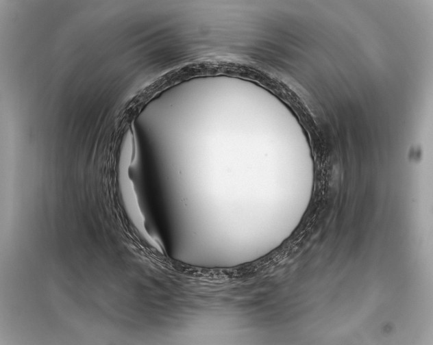 X0000099300919200805231338