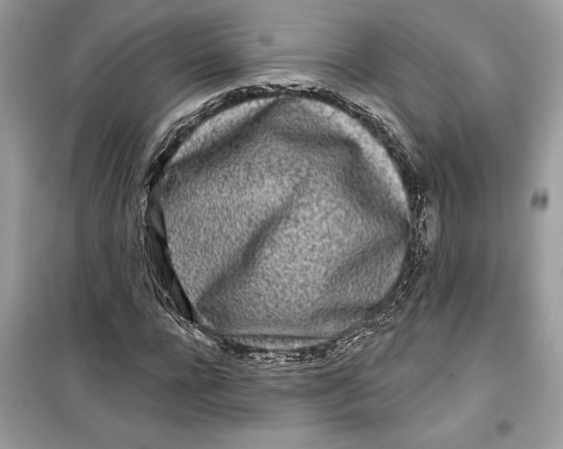 X0000099300920200805231338